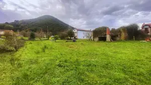 Imagen 4