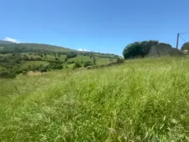 Video 2
