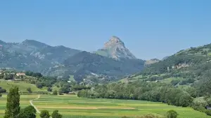 Image 12