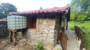 Imagen 6
