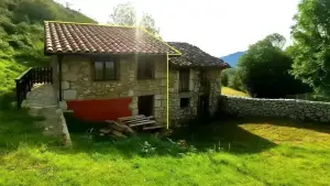 Imagen 2