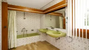 Imagen 19