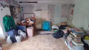 Imagen 6