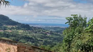 Video 2