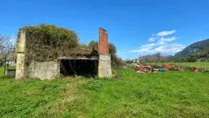 Imagen 7