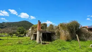 Imagen 8