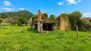 Imagen 9