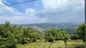 Imagen 73