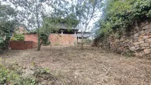 Imagen 75