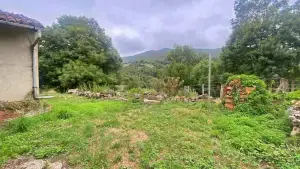 Imagen 12