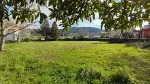 Imagen 5