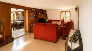 Imagen 20
