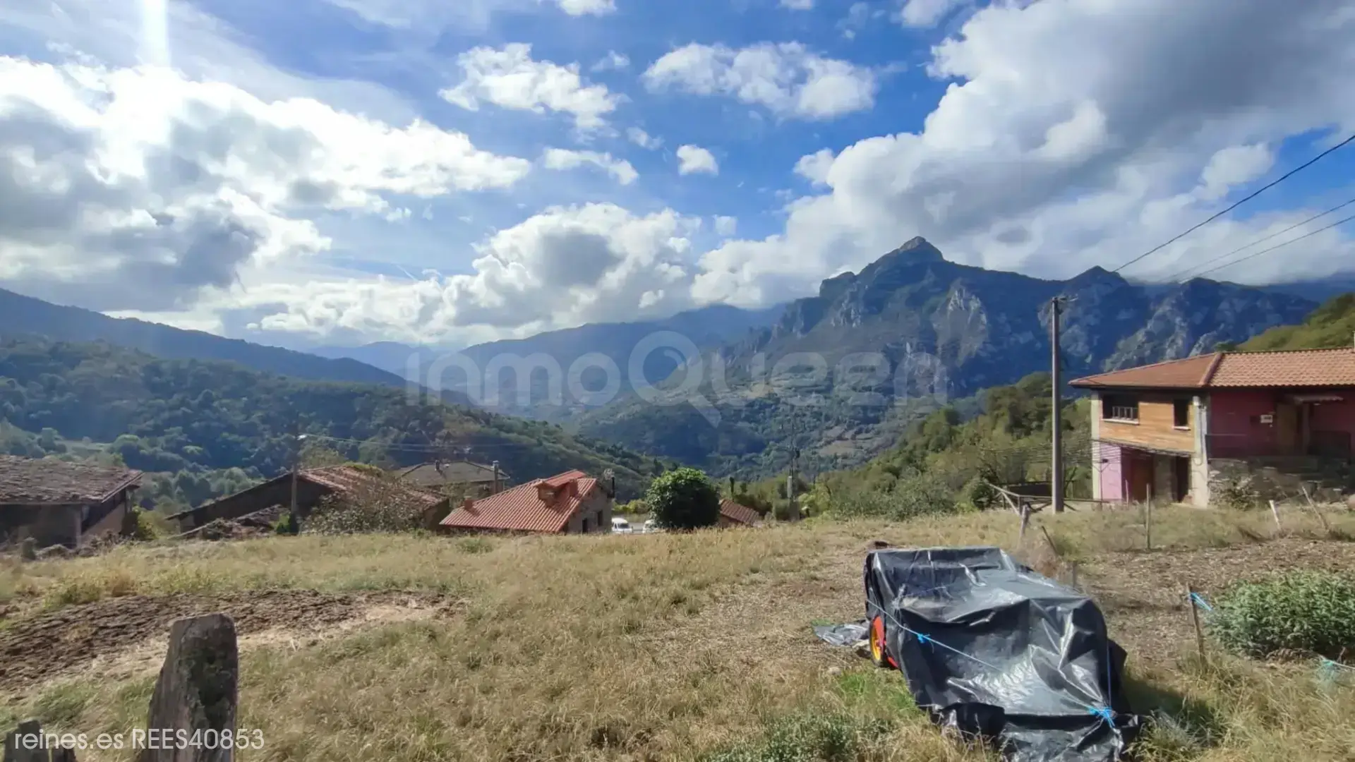 Imagen 13