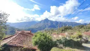 Imagen 11