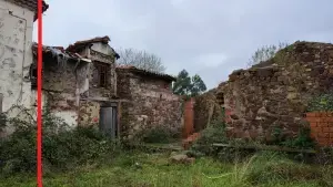 Imagen 7