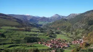 Imagen 28