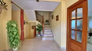 Imagen 18