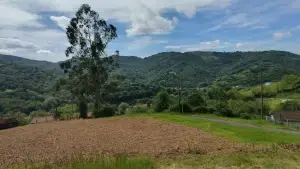 Imagen 5