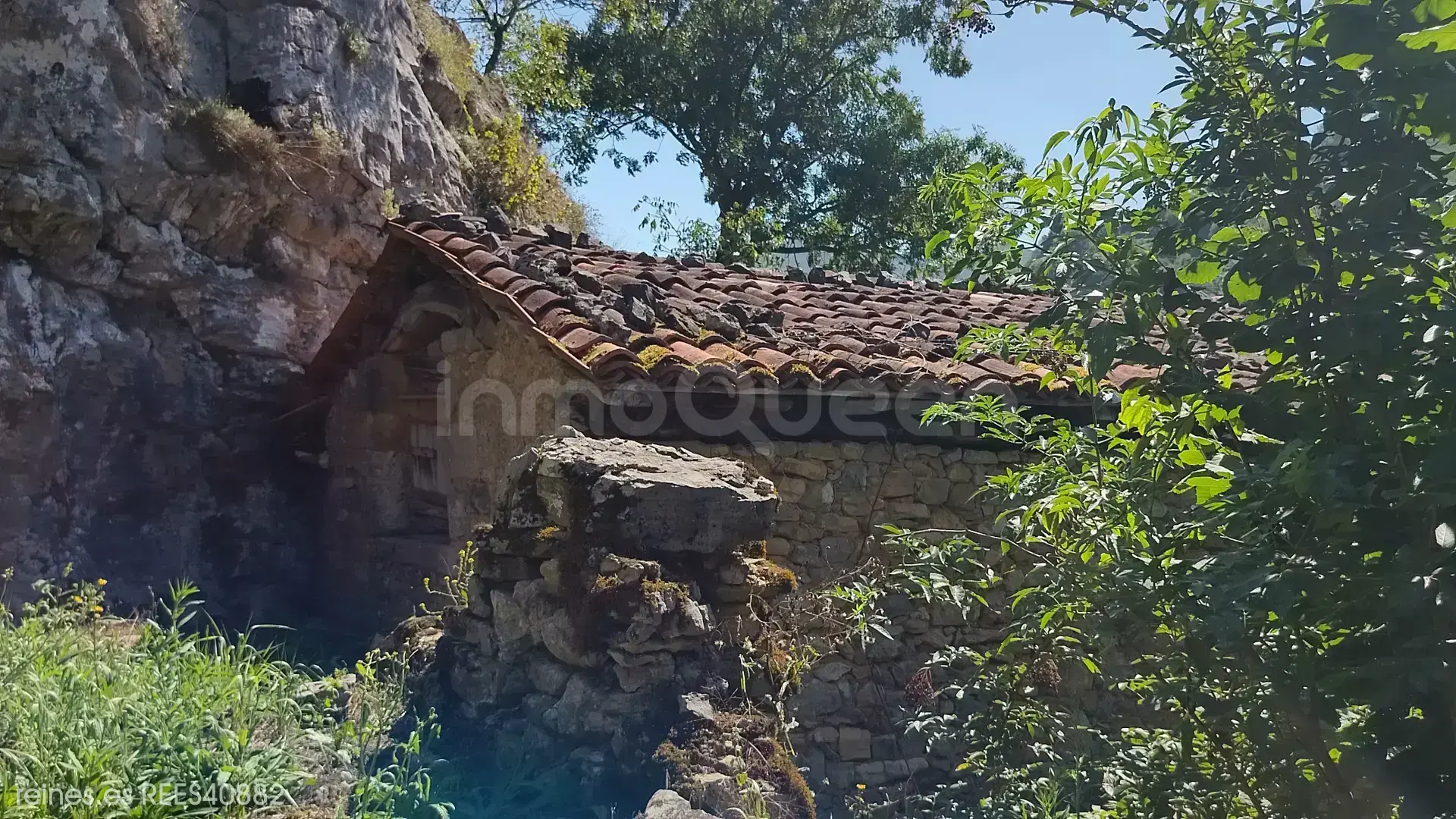 Imagen 5