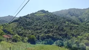 Video 1