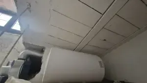 Imagen 26