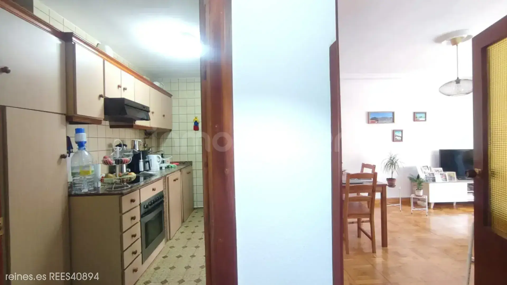 Imagen 5