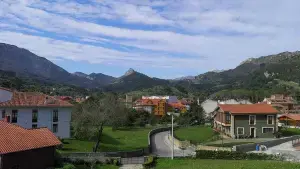 Imagen 13