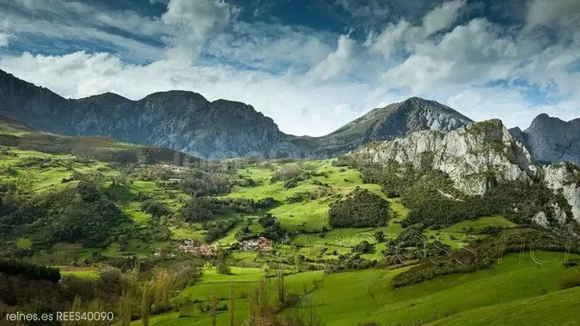 Imagen 18