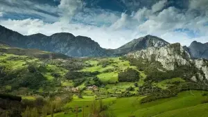 Imagen 18