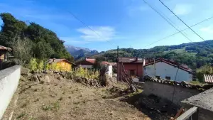 Imagen 7