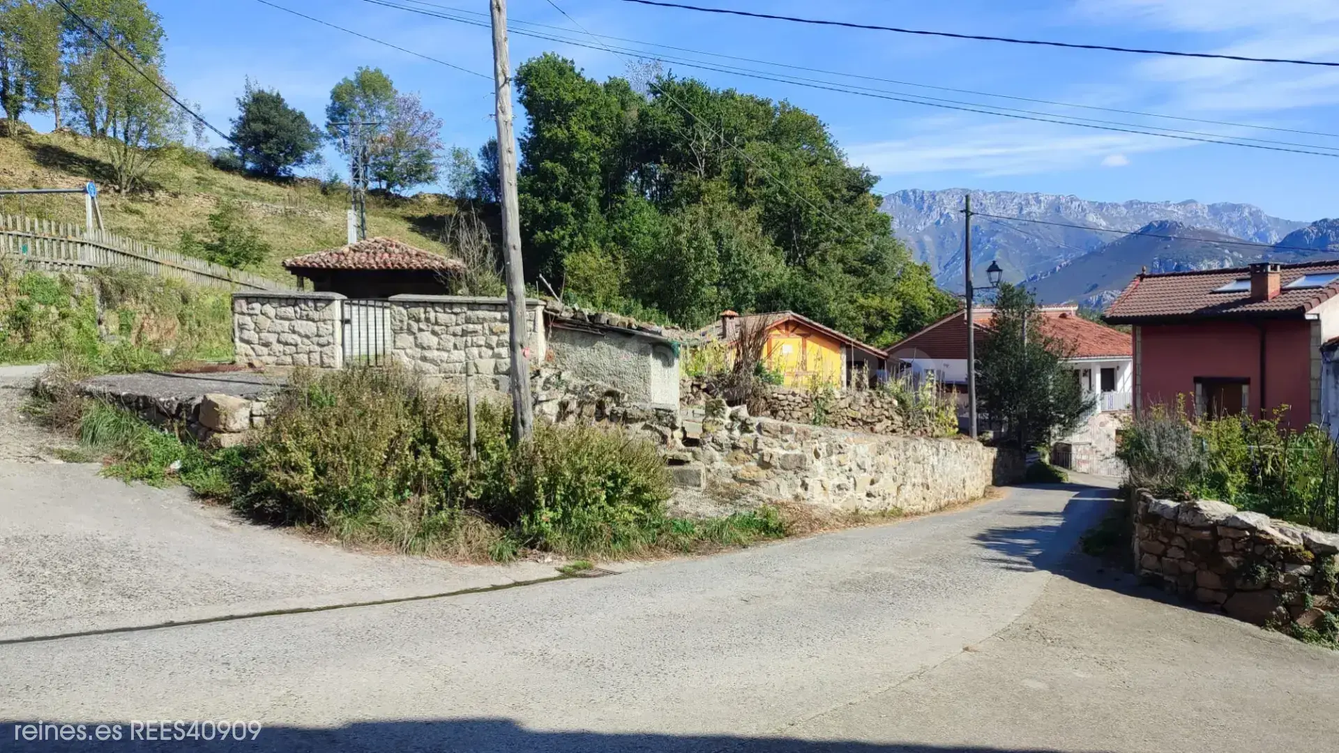 Imagen 4