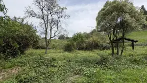 Imagen 7