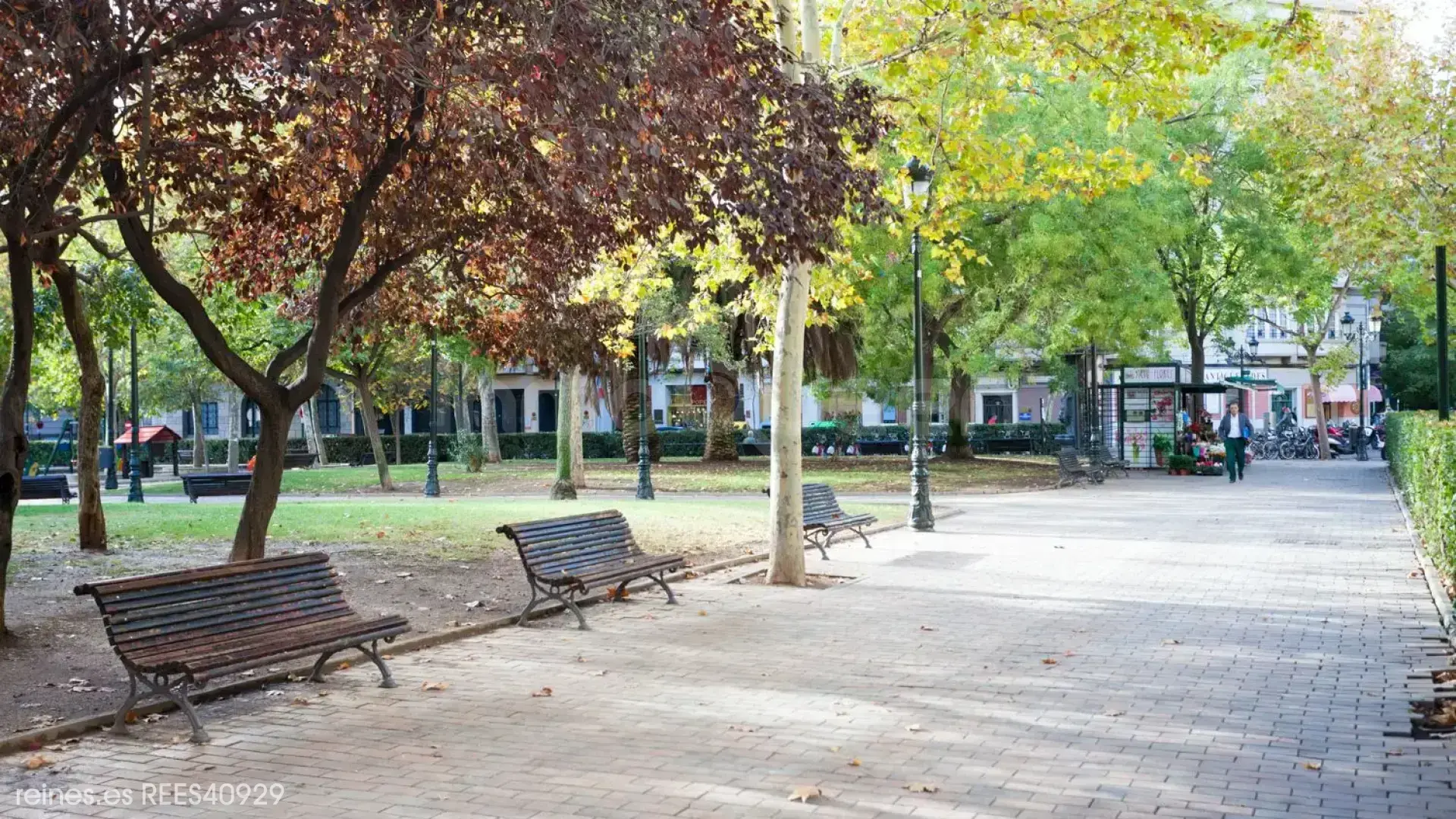 Imagen 74