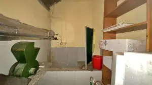 Imagen 16