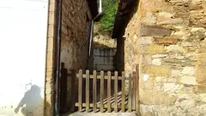 Image 13