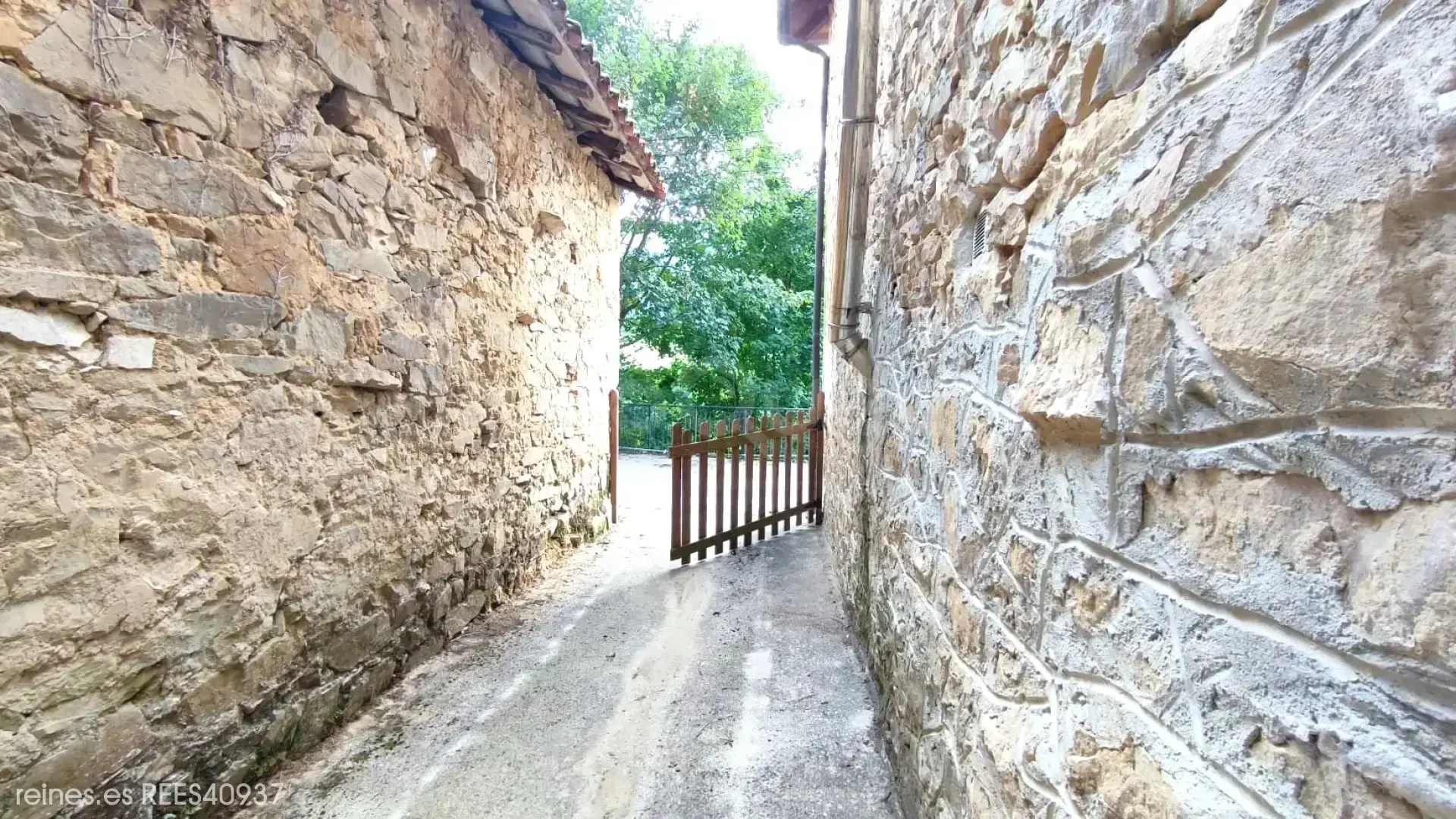 Image 14