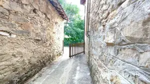 Image 14