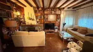 Imagen 5