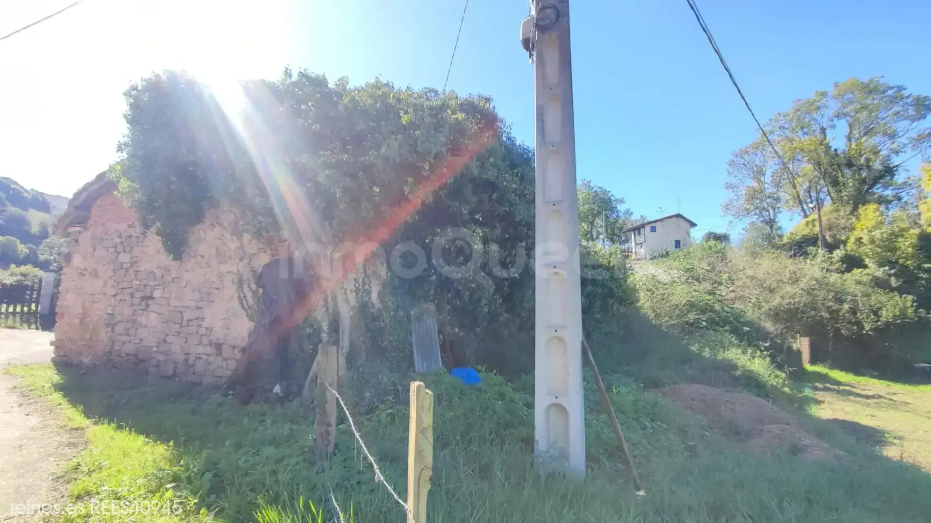 Imagen 7