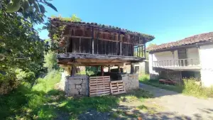 Imagen 4